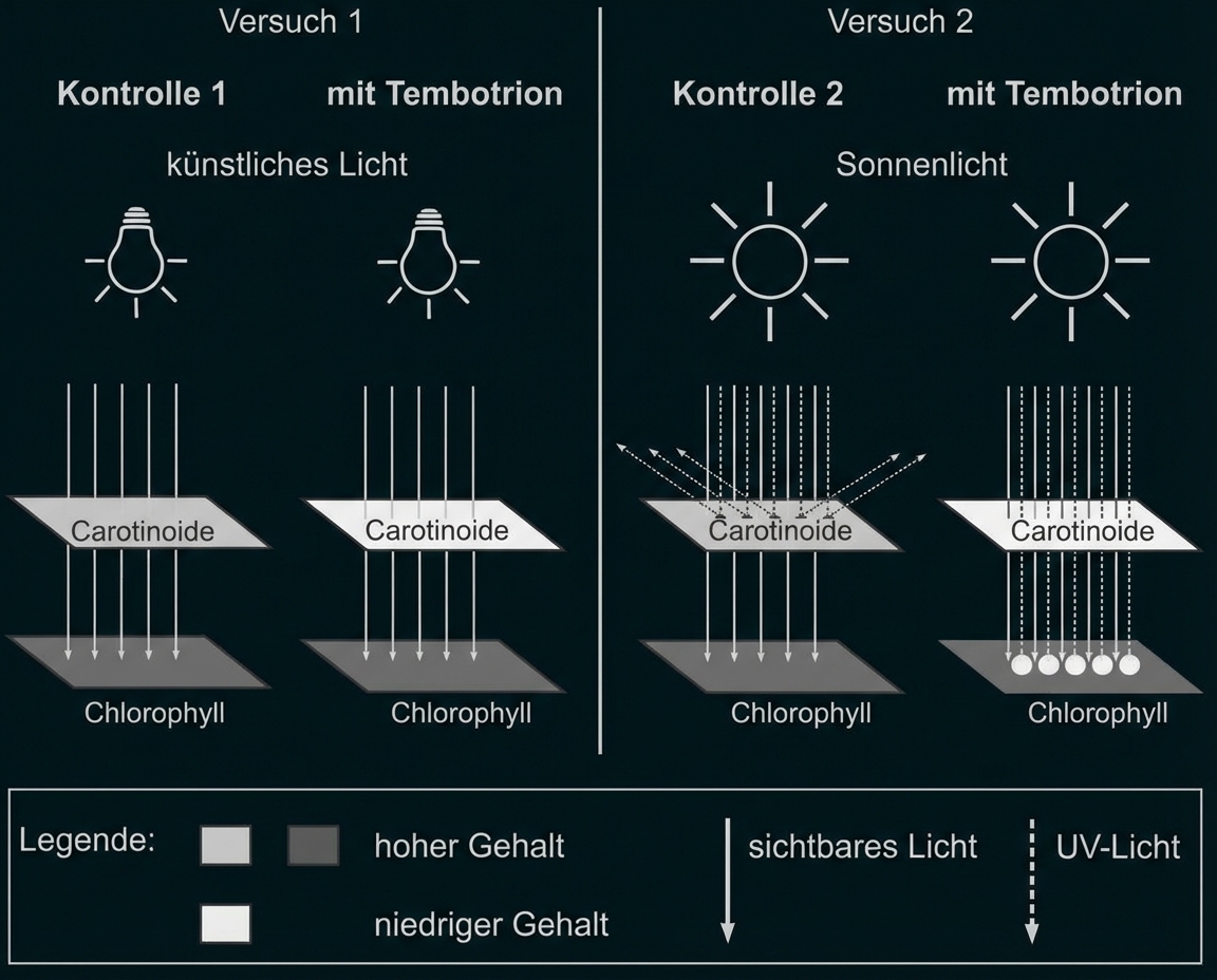 Diagramm: zwei Versuche (Kontrolle/mit Tembotrion), künstliches vs Sonnenlicht, Carotinoide und Chlorophyll, sichtbares und UV‑Licht